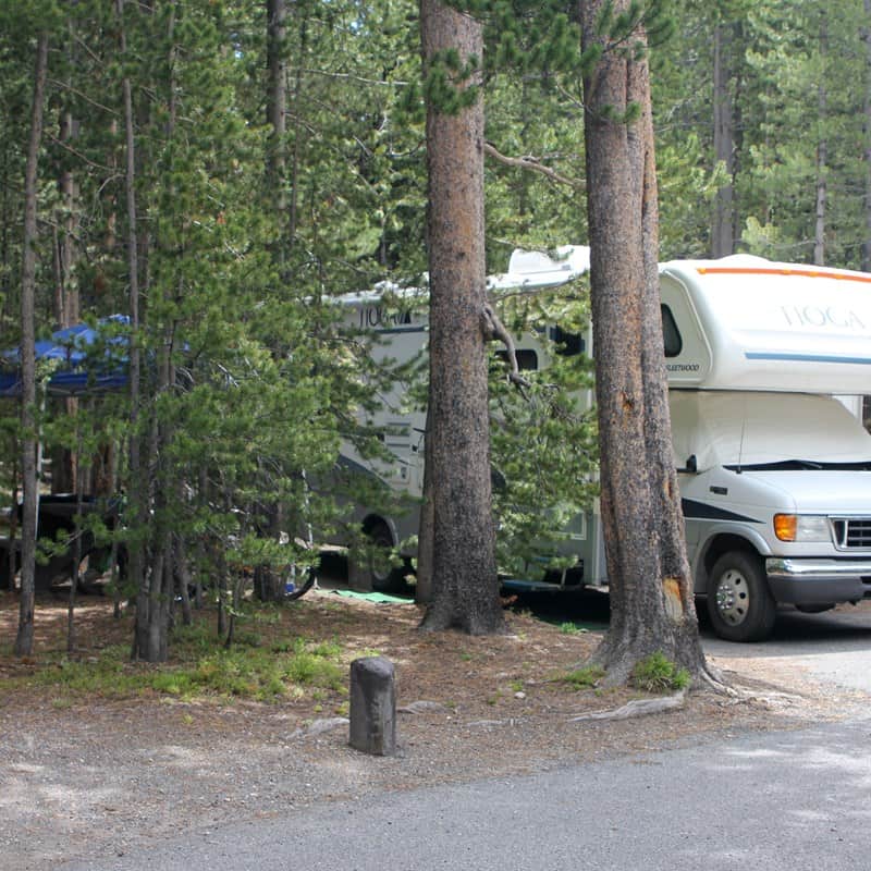Canyon Campground in Yellowstone national park