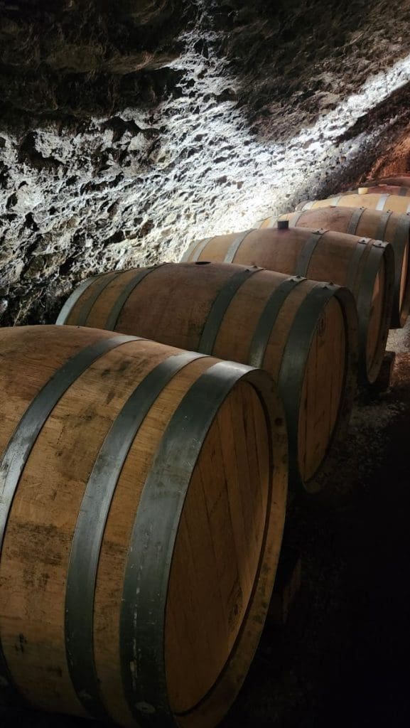 barrels of wine in a cave
