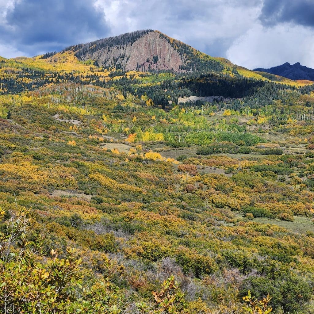 Autumn leaves in the San Juan Mountains can help people feel calm and is a great place to go camping